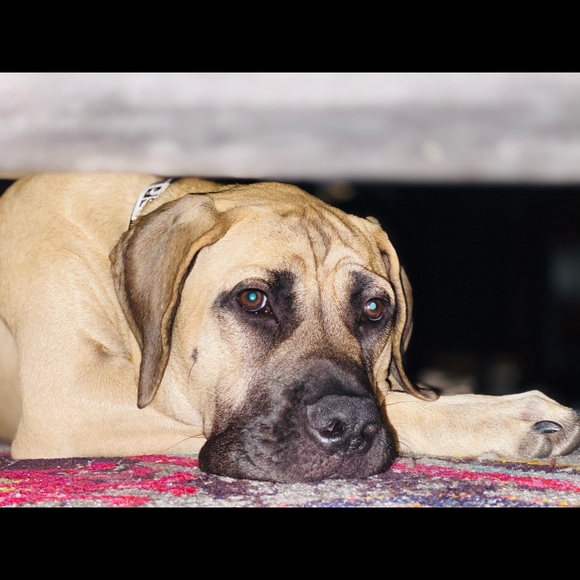 Meet your Posher, Emy - Picture 6 of 16